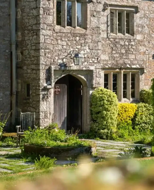 Wild-Hamatethy-TH-858-097