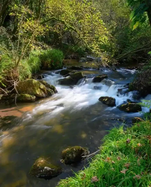 Wild-Hamatethy-ep8-045